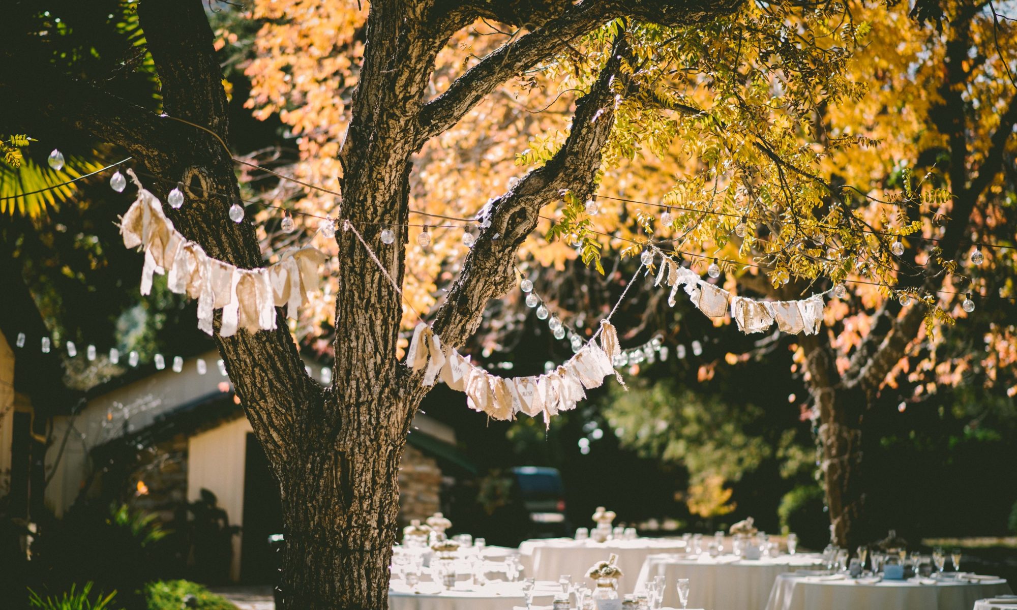 Fairy lights and bunting in outdoor wedding reception